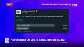 Pour ou contre une zone de silence dans les trains, comme en Belgique?