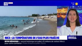 Nice: la température de l'eau plus fraîche dans la Méditerranée