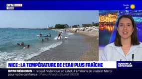 Nice: la température de l'eau plus fraîche dans la Méditerranée