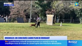 Le journal de 8h du lundi 12 janvier 2026