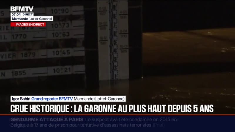 "Crue généralisée": la Garonne a son plus haut niveau de crue depuis cinq ans à Marmande, dans le Lot-et-Garonne