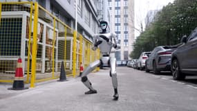 Le robot G1 de Unitree réalise des mouvements de kung-fu