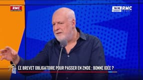 Brevet obligatoire pour passer en seconde : "Les gens qui ne sont pas automatiquement faits pour les études, ça existe", défend Étienne Liebig