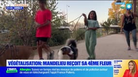 Végétalisation : la ville de Mandelieu-la-Napoule reçoit sa 4ème fleur
