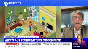 Qu'est-ce que les perturbateurs endocriniens et quels sont leurs conséquences sur notre corps? - BFMTV répond à vos questions