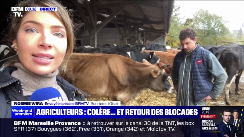 Crise agricole: la colère des agriculteurs ne déminue pas