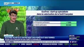La  pépite : EcoTree achète et entretien des forêts et des terres - 11/11
