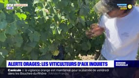 Aix-en-Provence: les viticulteurs inquiets face à l'alerte orages