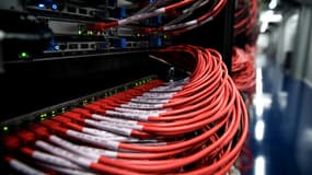 Des câbles internet