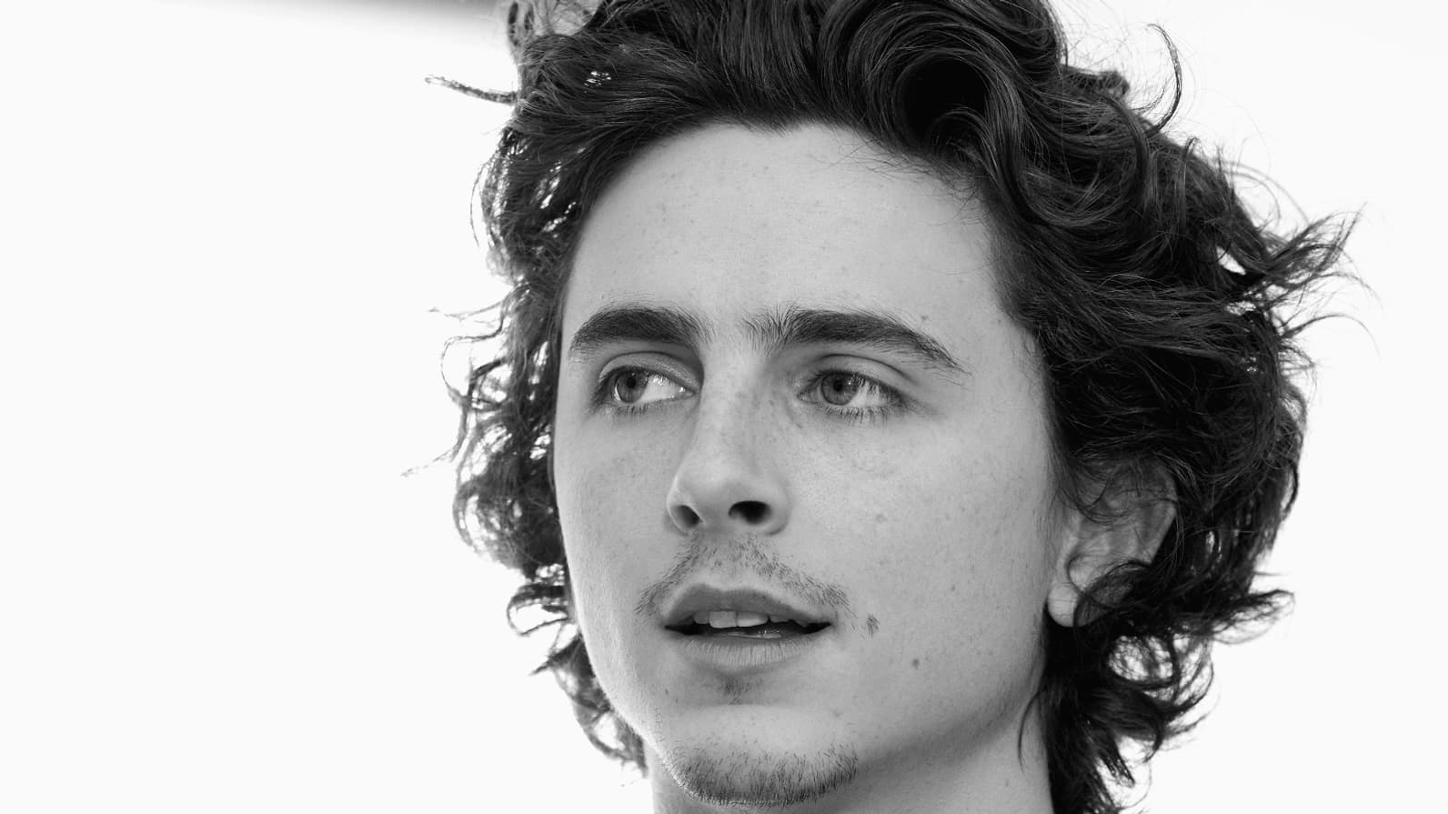 Timothée Chalamet, Cartier Timothée Chalamet, Cartier