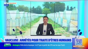 Vaucluse : arrêtés pour traite d'êtres humains 