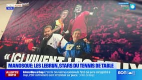 Alpes-de-Haute-Provence: les frères Lebrun, des stars du tennis de table à Manosque