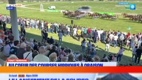 Tout terrain du dimanche 13 avril 2025 - Au cœur des courses hippiques à Oraison