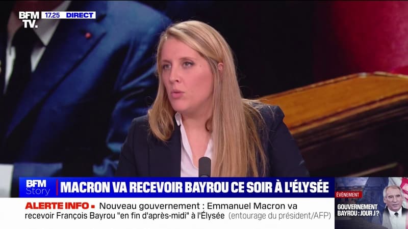 Gouvernement Bayrou: un dernier entretien ce soir entre le Premier ministre et...