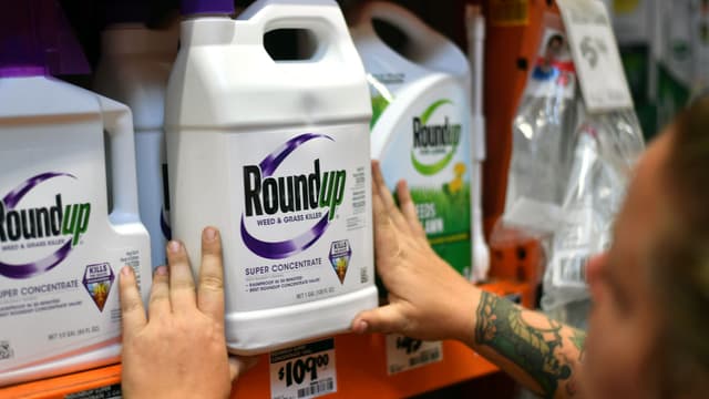 Le glyphosate est un des principes actifs du Roundup. (Photo d'illustration)