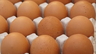 La demande en oeuf est inférieure à l'offre