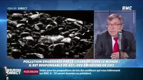 Polluant mais toujours plus utilisé: pourquoi le charbon fait-il encore recette?