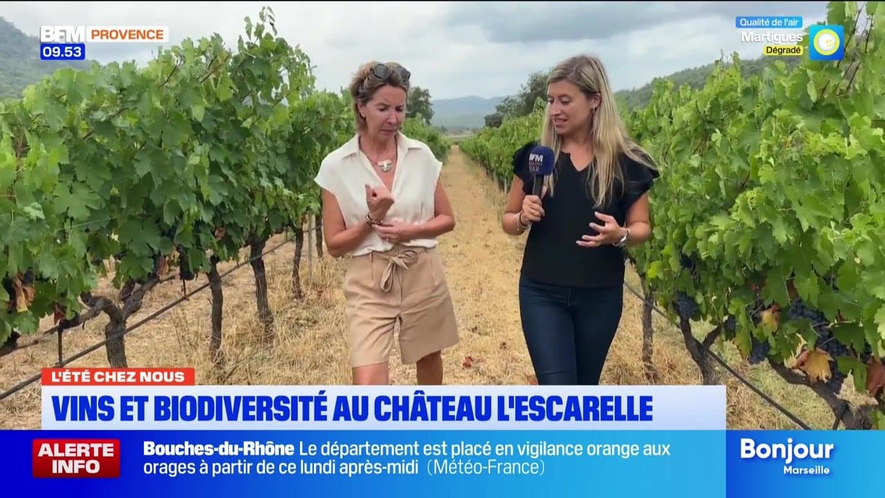 Bonjour Marseille du lundi 24 août 2026
