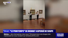 Deux militantes écologistes aspergent le "Printemps" de Monet de soupe au musée des Beaux-Arts de Lyon
