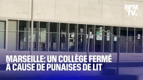 Ce collège de Marseille a été fermé jusqu'à lundi car des punaises de lit ont été aperçues dans les classes 