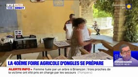 Alpes-de-Haute-Provence: la 40e foire agricole d'Ongles se prépare