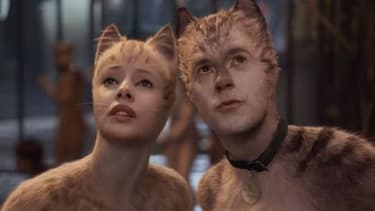 Cats