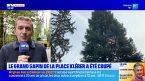 Strasbourg: le grand sapin de la place Kléber a été coupé