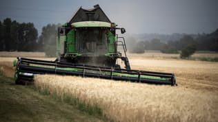 Un agriculteur conduisant une moissonneuse-batteuse dans un champ de blé à Sainte-Foy-d'Aigrefeuille, près de Toulouse (Haute-Garonne), le 21 juin 2022.