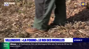 Alpes-de-Haute-Provence: à la rencontre de Roland, le meilleur cueilleur de champignons