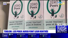 Toulon: la rentrée scolaire marque le retour des poux