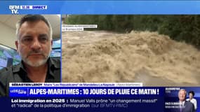 Épisode cévenol dans les Alpes-Maritimes: "On a eu en 45 minutes l'équivalent d'une crue centennale", indique le maire de Mandelieu-La-Napoule
