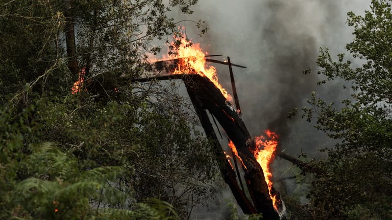 L'incendie à La Teste-de-Buch, le 13 juillet 2022.