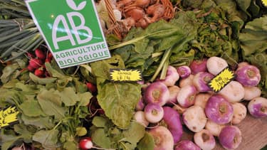 7 Français sur 10 déclarent consommer régulièrement des produits (légumes, laitages, ...) issus de l'agriculture biologique. (image d'illustration)