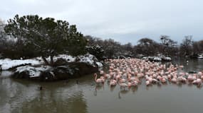 Le Parc de la Camargue en 2015.