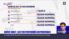 Grève dans les transports: le trafic des TER perturbé en Provence