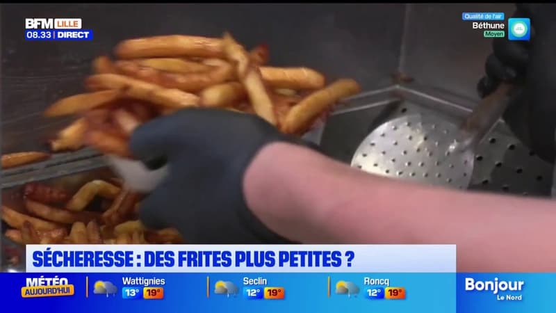 Des frites plus petites à cause de la sécheresse ?