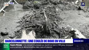 Alpes-de-Haute-Provence: une coulée de boue à Barcelonnette