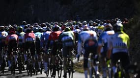 Un peloton cycliste (illustration)