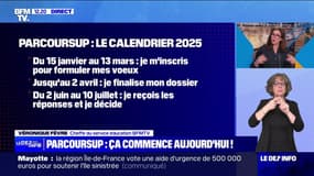 Orientation: la plateforme Parcoursup s'ouvre ce mercredi
