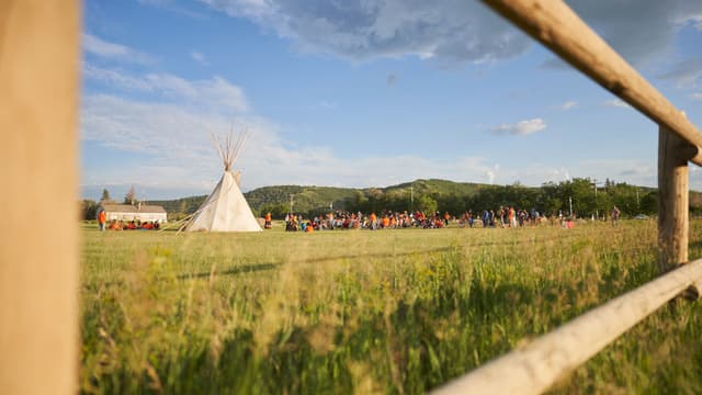 Un champ où des restes ont été retrouvés il y a quelques semaines
