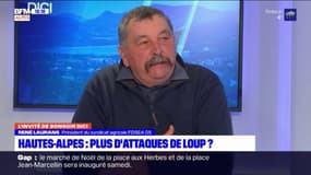 Hautes-Alpes: René Laurans, président du syndicat agricole FDSEA 05, estime "qu'il y a plus de loups" et est "très inquiet" pour les élevages