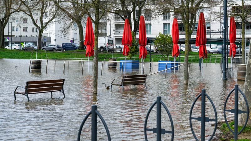 "Je fais confiance aux Français": l'appel de détresse de l'UMIH après les crues dans le Sud-Ouest