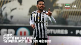 Angers : Courtisé par l'OM, Fulgini "ne partira pas" selon son président