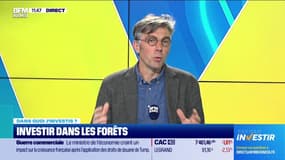 Dans quoi j'investis ? : Investir dans les forêts - 04/04