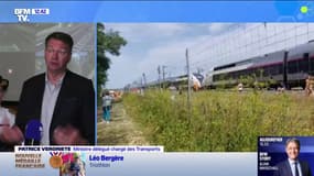 Un TGV heurte un arbre dans l'Yonne, le ministre des Transports évoque "des difficultés d'accès au site"