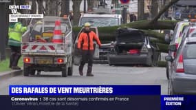 À Paris, les vents violents ont fait un mort et plusieurs blessés jeudi