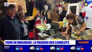 Foire de Mulhouse: le paradis des camelots