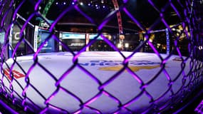 Un octogone de MMA