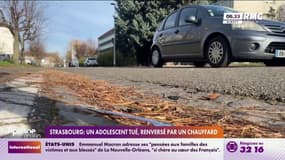 Strasbourg: un adolescent tué, renversé par un chauffard  
