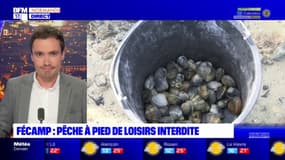 Seine-Maritime: la pêche de loisirs interdite à Fécamp